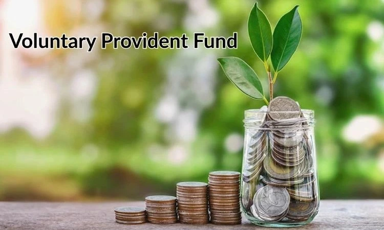 Voluntary Provident Fund (VPF)