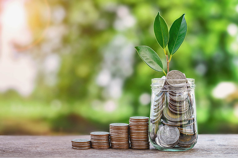 Voluntary Provident Fund (VPF)