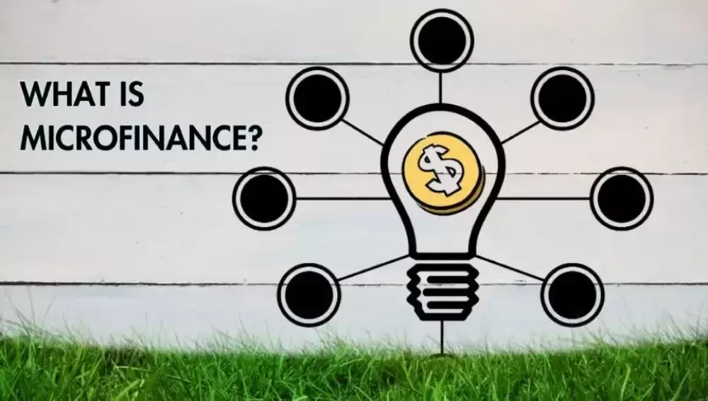 What is Microfinance? Types, Advantages & History and Working Process